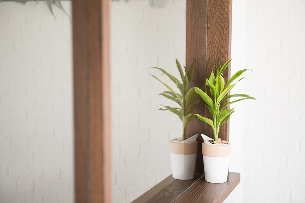 大阪府　美容院　新装工事