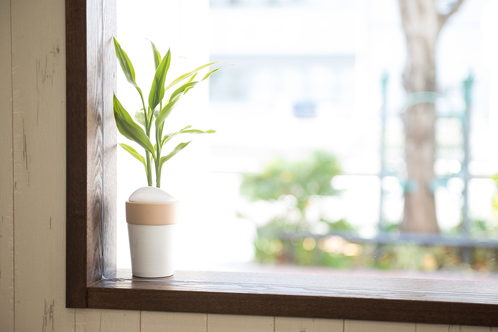 大阪府　美容院　新装工事