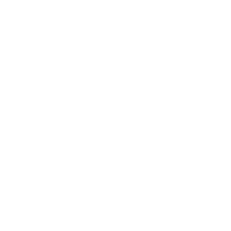 幅広い案件でスキルを磨ける